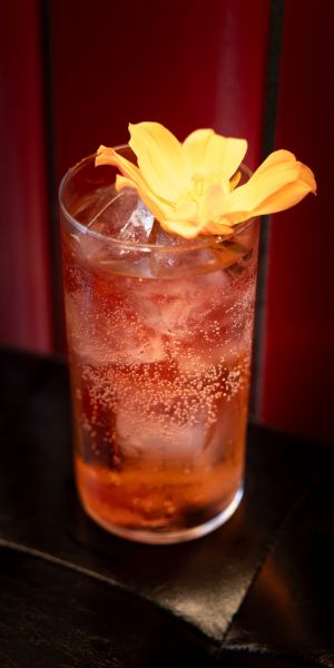 Cocktails à biarritz - Bar mixologie esprit new york à Biarritz